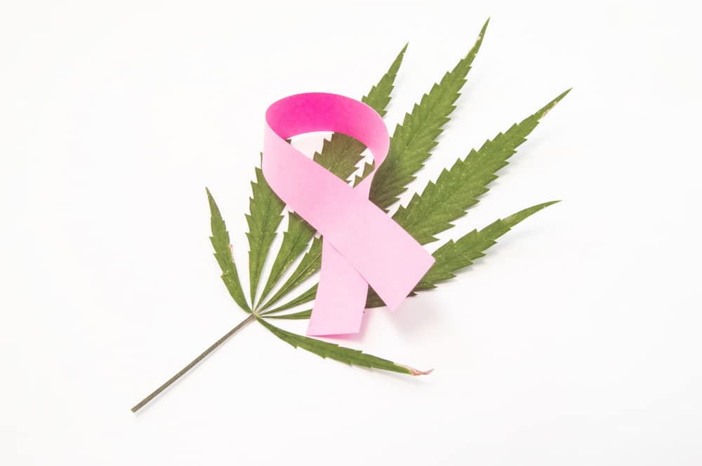 Does Medical Cannabis for Cancer Help Manage Symptoms?