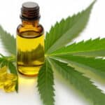 How Much Do You Know About the Endocannabinoid System