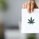 Our Refresher Guide to Medical Cannabis Home Delivery