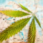 Can You Travel With Medical Cannabis?