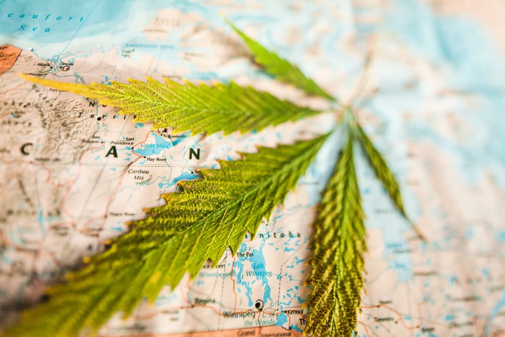 Can You Travel With Medical Cannabis?