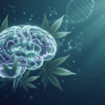Medical Cannabis and Alzheimer’s Disease